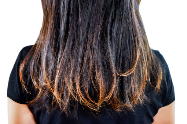 Dry hair care routine for fall weather