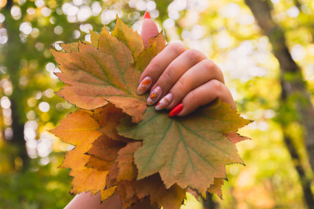 Fall Transition Nails Everyone Will Wear